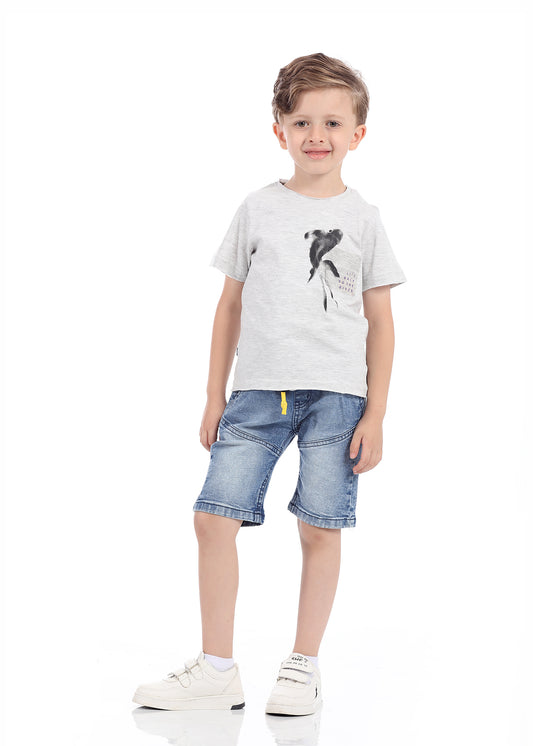 Gray T-Shirt Short Sleeve With Print For Boys